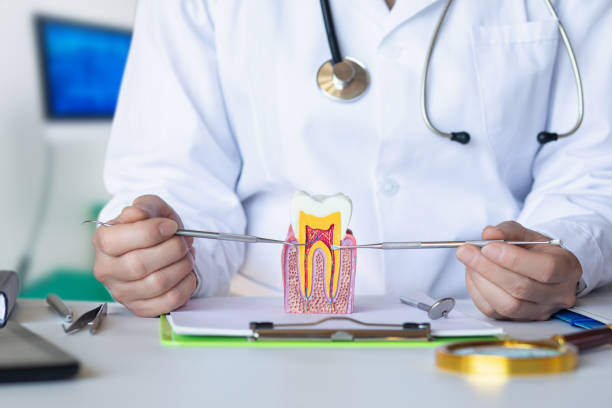 Best Emergency Wisdom Tooth Extraction in Jekyll Island, GA